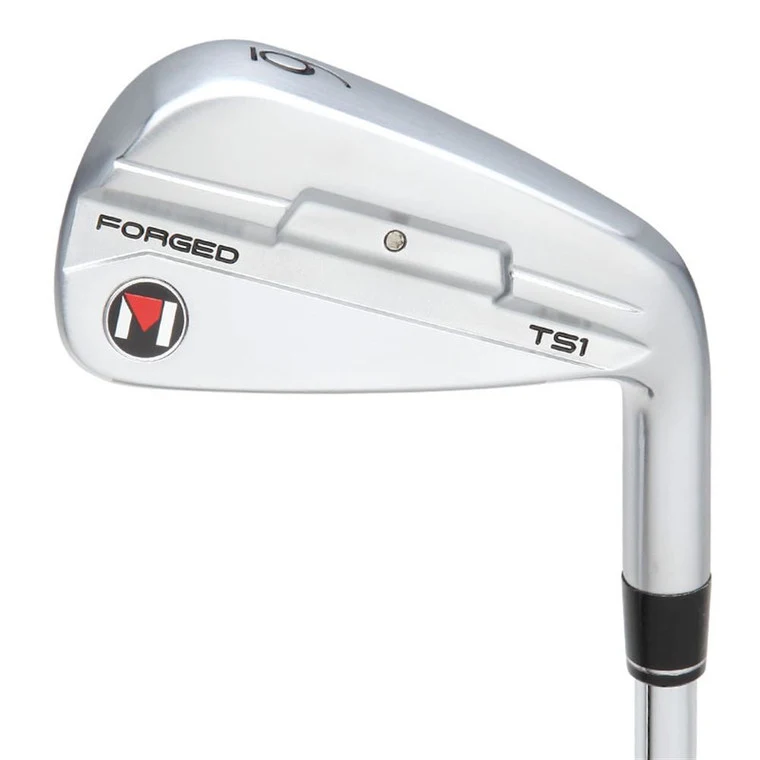 Maltby TS-1 Forged Iron — back view
